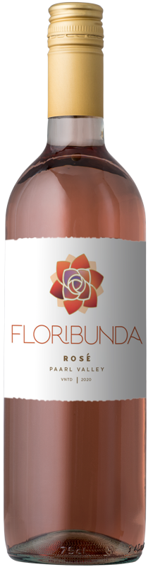 $5.99 Floribunda Rose 2020