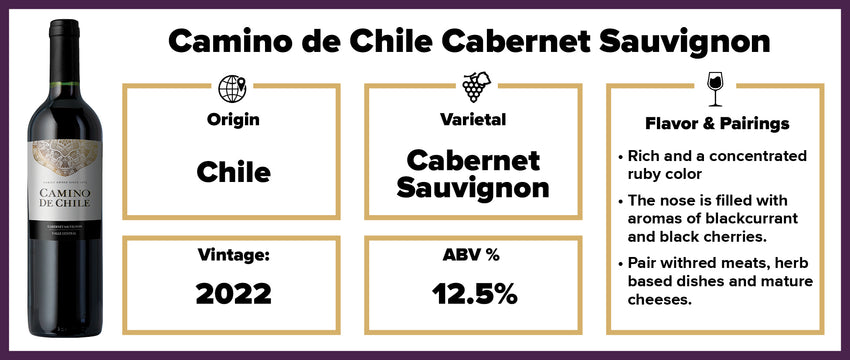 Camino de 2022 Wines – Cabernet Chile Splash
