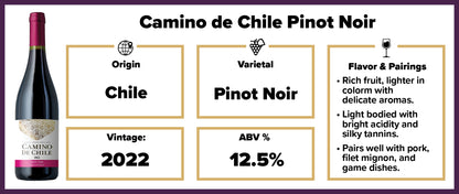 Camino de Chile Pinot Noir 2022