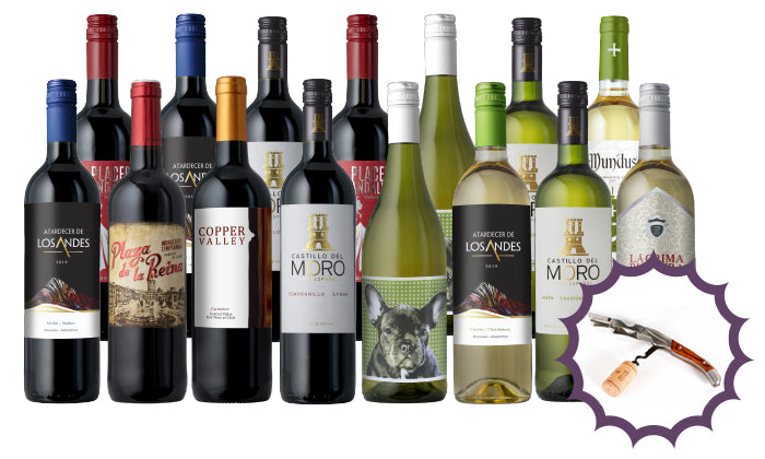 Splash Wines Mega Holiday Groupon 15-Pack + Corkscrew