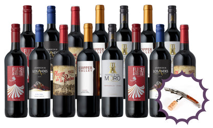 Splash Wines Mega Holiday Groupon 15-Pack + Corkscrew